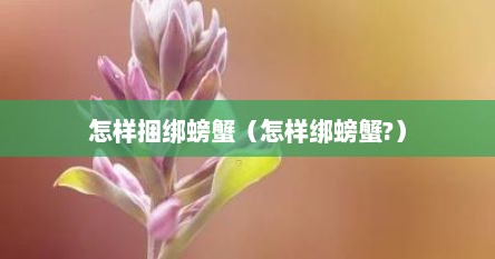 怎样捆绑螃蟹（怎样绑螃蟹?）
