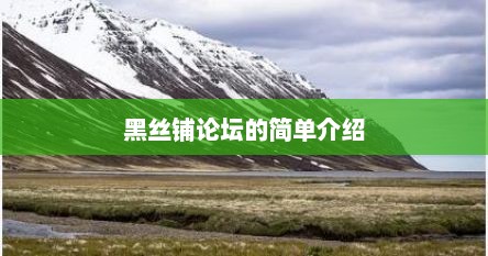 黑丝铺论坛的简单介绍