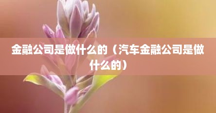 金融公司是做什么的（汽车金融公司是做什么的）