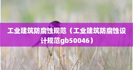 工业建筑防腐蚀规范（工业建筑防腐蚀设计规范gb50046）