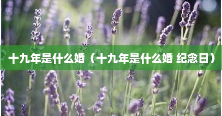 十九年是什么婚（十九年是什么婚 纪念日）