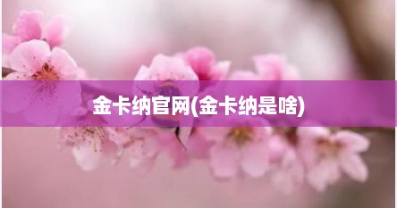 金卡纳官网(金卡纳是啥)