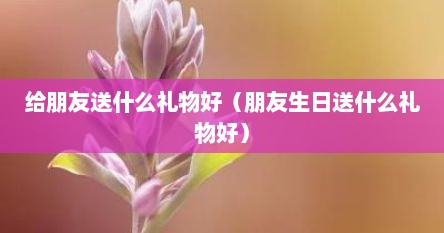 给朋友送什么礼物好（朋友生日送什么礼物好）