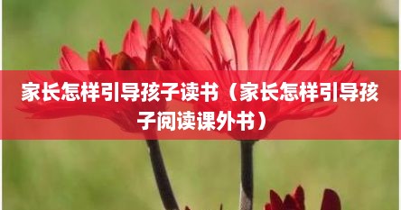 家长怎样引导孩子读书（家长怎样引导孩子阅读课外书）