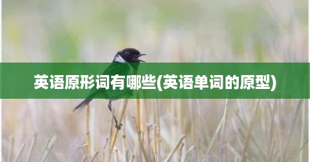 英语原形词有哪些(英语单词的原型)