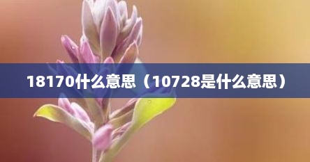 18170什么意思（10728是什么意思）