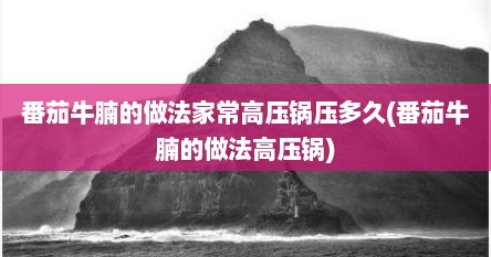 番茄牛腩的做法家常高压锅压多久(番茄牛腩的做法高压锅)