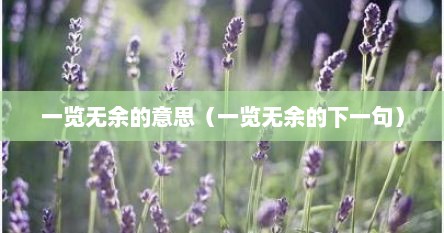 一览无余的意思（一览无余的下一句）