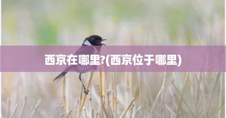 西京在哪里?(西京位于哪里)