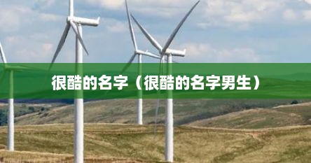很酷的名字（很酷的名字男生）