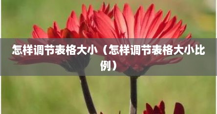 怎样调节表格大小（怎样调节表格大小比例）