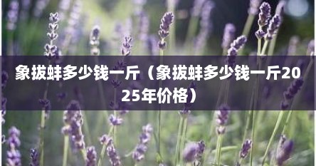 象拔蚌多少钱一斤(象拔蚌多少钱一斤2025年价格)