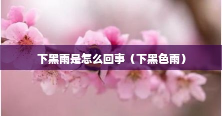 下黑雨是怎么回事（下黑色雨）