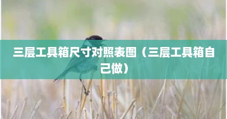 三层工具箱尺寸对照表图（三层工具箱自己做）