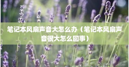 笔记本风扇声音大怎么办（笔记本风扇声音很大怎么回事）