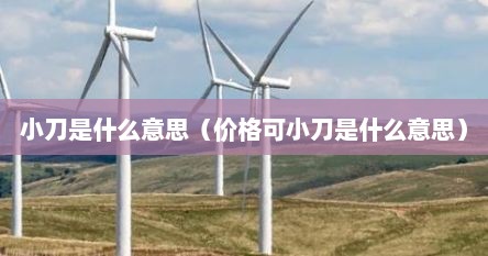 小刀是什么意思（价格可小刀是什么意思）