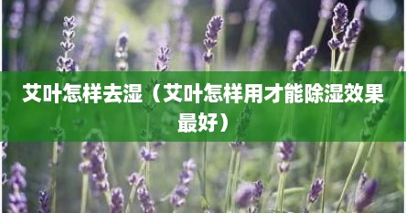 艾叶怎样去湿（艾叶怎样用才能除湿效果最好）