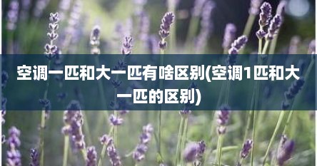空调一匹和大一匹有啥区别(空调1匹和大一匹的区别)