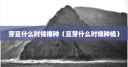 芽豆什么时候播种（豆芽什么时候种植）