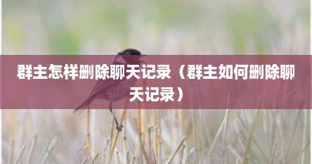 群主怎样删除聊天记录（群主如何删除聊天记录）