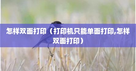 怎样双面打印（打印机只能单面打印,怎样双面打印）