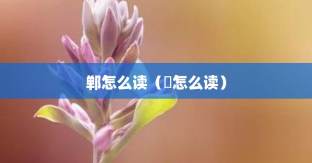 郸怎么读（鄫怎么读）