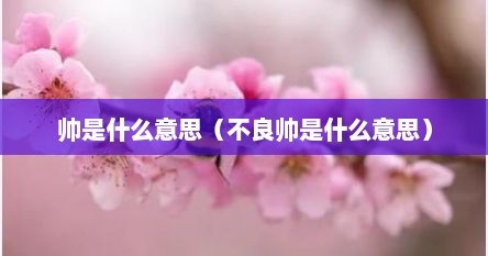 帅是什么意思（不良帅是什么意思）