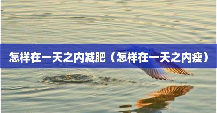 怎样在一天之内减肥（怎样在一天之内瘦）
