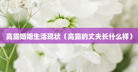 高露婚姻生活现状（高露的丈夫长什么样）