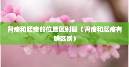 肾疼和腰疼的位置区别图（肾疼和腰疼有啥区别）