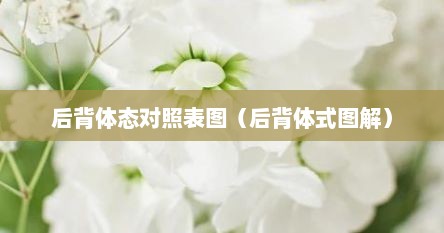 后背体态对照表图（后背体式图解）