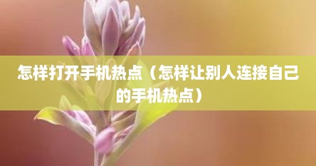 怎样打开手机热点（怎样让别人连接自己的手机热点）