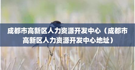成都市高新区人力资源开发中心（成都市高新区人力资源开发中心地址）