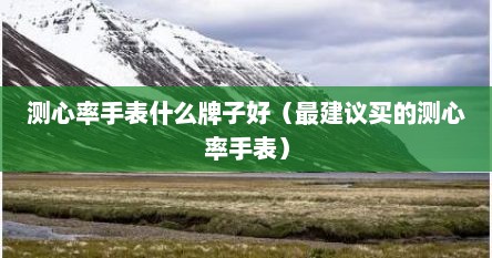 测心率手表什么牌子好（最建议买的测心率手表）