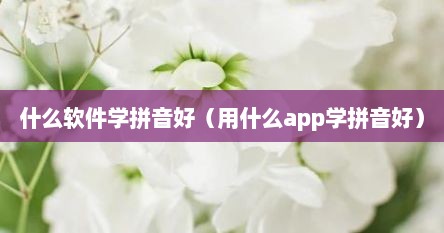 什么软件学拼音好（用什么app学拼音好）
