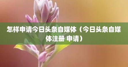 怎样申请今日头条自媒体（今日头条自媒体注册 申请）