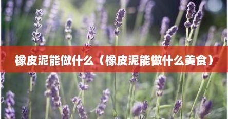橡皮泥能做什么（橡皮泥能做什么美食）