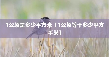 1公顷是多少平方米（1公顷等于多少平方千米）