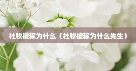 杜牧被称为什么（杜牧被称为什么先生）