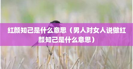 红颜知己是什么意思（男人对女人说做红颜知己是什么意思）