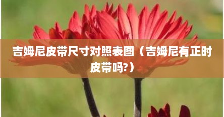 吉姆尼皮带尺寸对照表图（吉姆尼有正时皮带吗?）