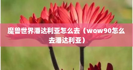 魔兽世界潘达利亚怎么去（wow90怎么去潘达利亚）