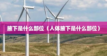 腋下是什么部位（人体腋下是什么部位）