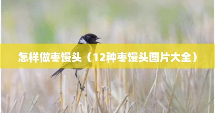 怎样做枣馒头（12种枣馒头图片大全）
