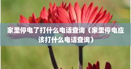 家里停电了打什么电话查询（家里停电应该打什么电话查询）