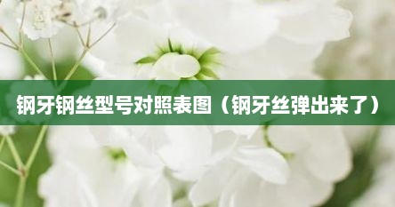 钢牙钢丝型号对照表图（钢牙丝弹出来了）