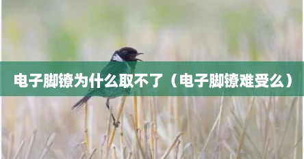 电子脚镣为什么取不了（电子脚镣难受么）