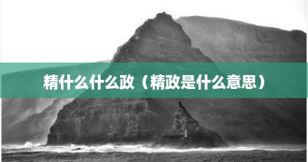 精什么什么政（精政是什么意思）