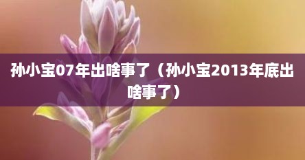 孙小宝07年出啥事予（孙小宝2013年底出啥事予）