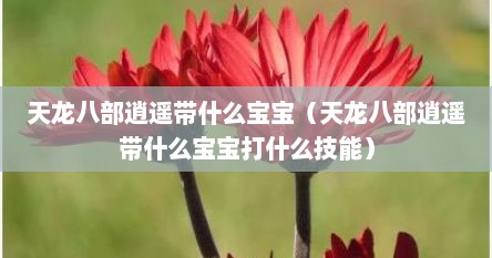 天龙八部逍遥带什么宝宝（天龙八部逍遥带什么宝宝打什么技能）